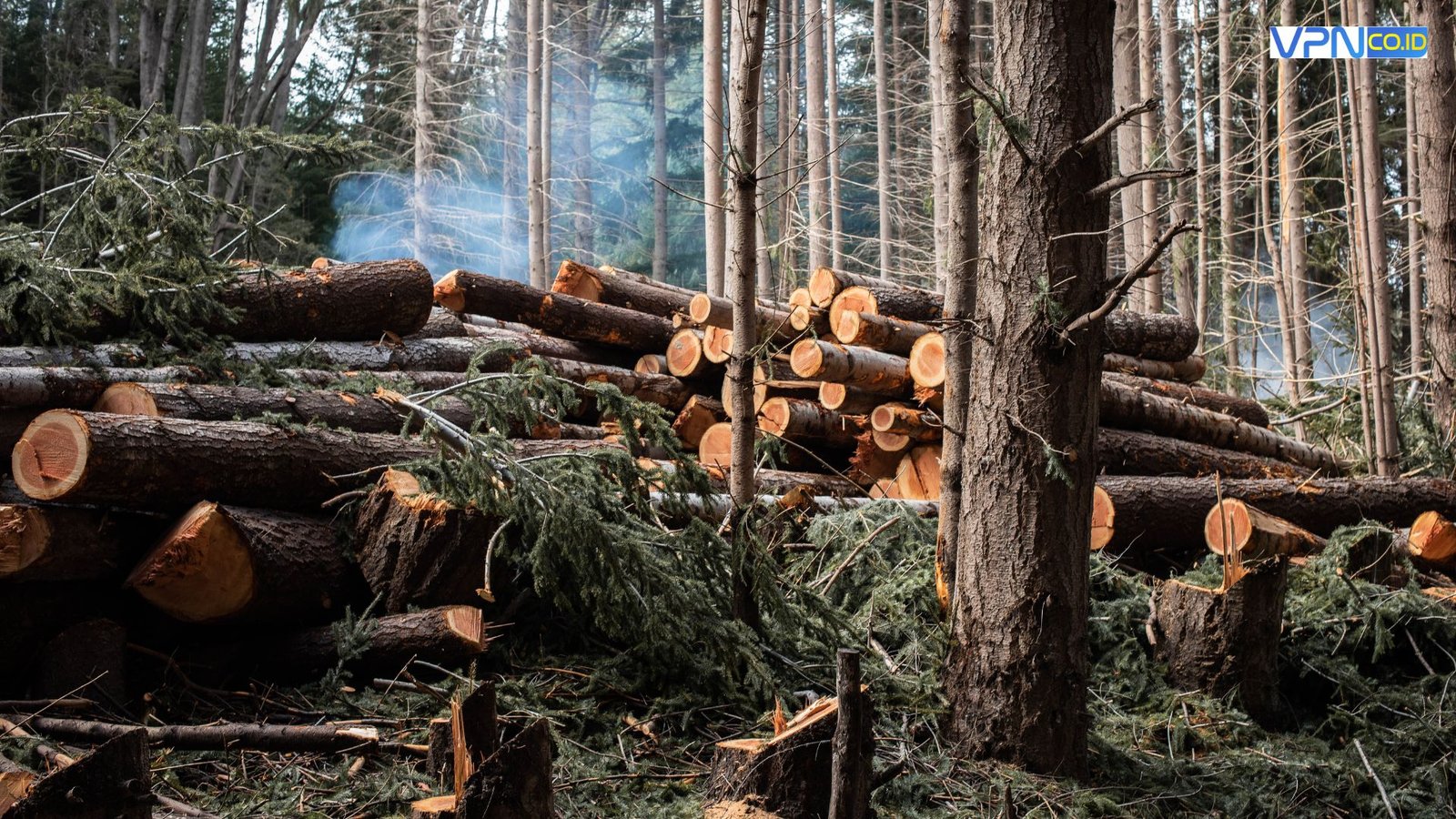 aplikasi edit foto aesthetic